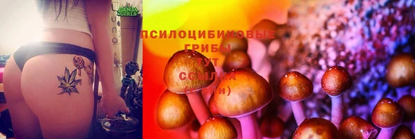 амф Баксан