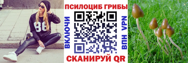 маркетплейс клад  KRAKEN   Ревда  Галлюциногенные грибы ЛСД 